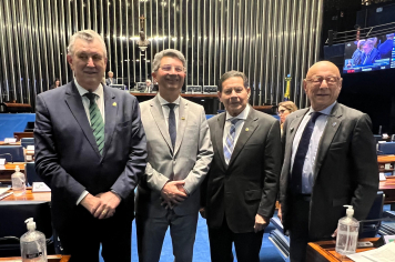 SENADO APROVA PROJETO QUE CONCEDE A SOLEDADE O TÍTULO DE CAPITAL NACIONAL DAS PEDRAS PRECIOSAS