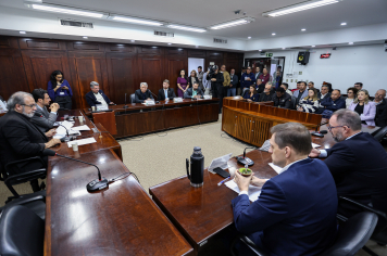 LIDERANÇAS DE SOLEDADE BUSCAM APOIO ESTADUAL PARA ENFRENTAR CRISE NO SETOR DE PEDRAS PRECIOSAS